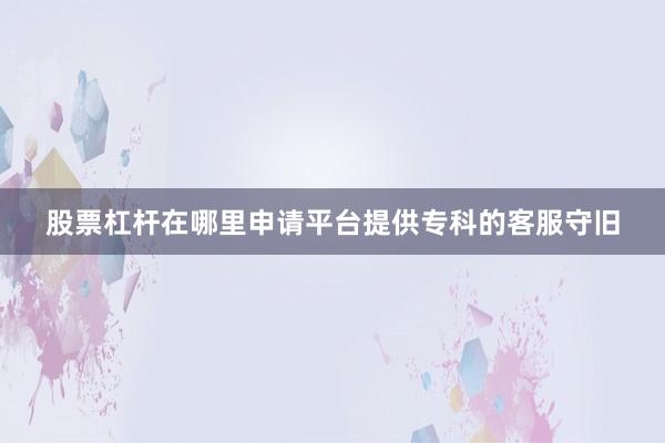 股票杠杆在哪里申请平台提供专科的客服守旧