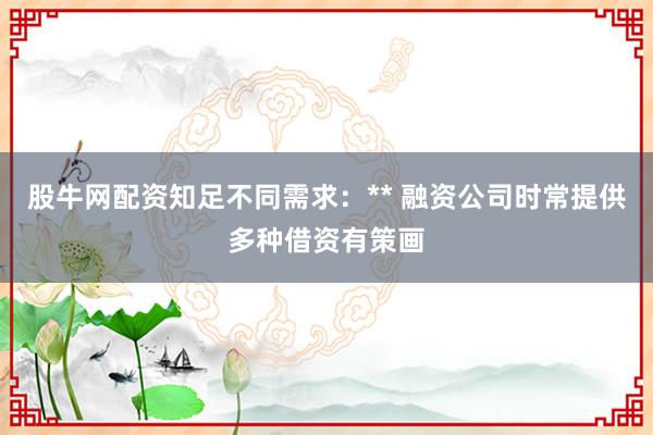 股牛网配资知足不同需求：** 融资公司时常提供多种借资有策画