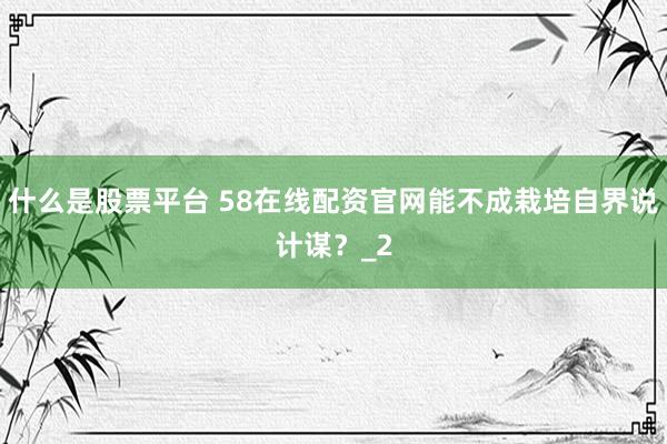 什么是股票平台 58在线配资官网能不成栽培自界说计谋？_2