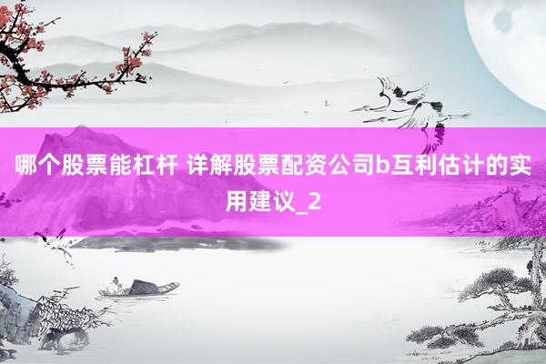 哪个股票能杠杆 详解股票配资公司b互利估计的实用建议_2